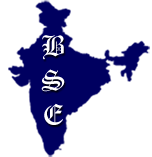 bharat salt-logo